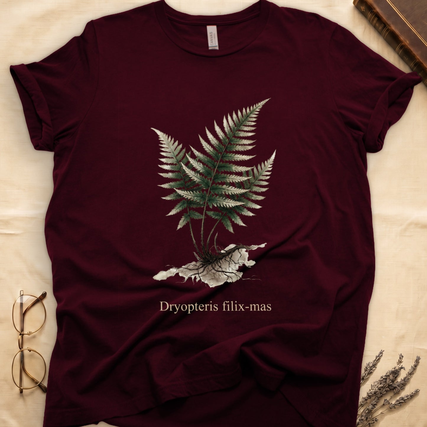 Maroon tee with Victorian fern illustration of Dryopteris filix-mas in greens with exposed root, italic Latin binomial below.
