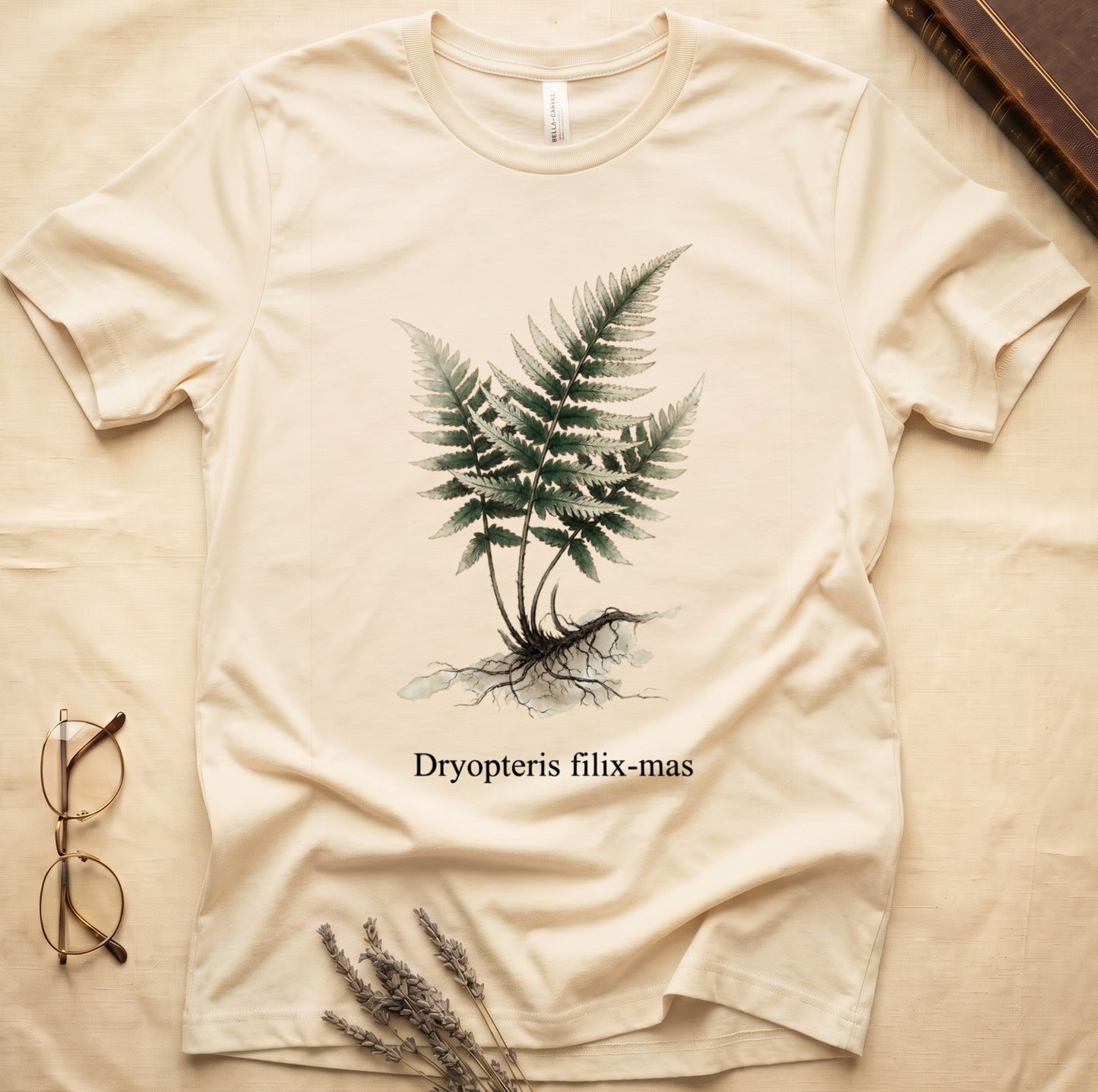 Natural tee with Victorian fern illustration of Dryopteris filix-mas in greens with exposed root, italic Latin binomial below.