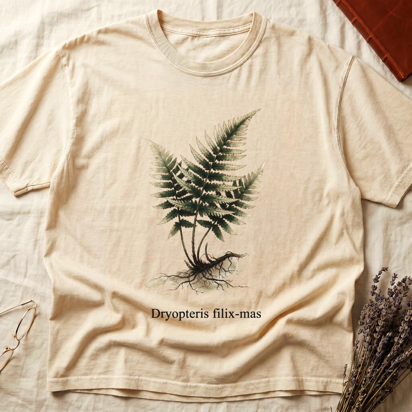 Ivory tee with Victorian fern illustration of Dryopteris filix-mas in greens with exposed root, italic Latin binomial below.